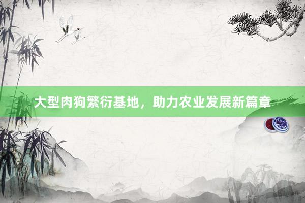 大型肉狗繁衍基地，助力农业发展新篇章
