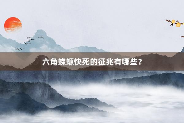 六角蝾螈快死的征兆有哪些?